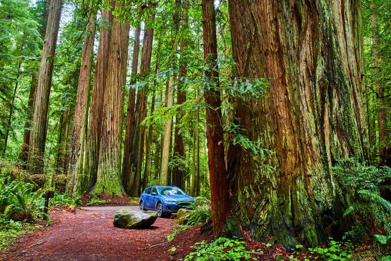 What Are the Subaru Crosstrek Trunk Dimensions? Upgraded Vehicle