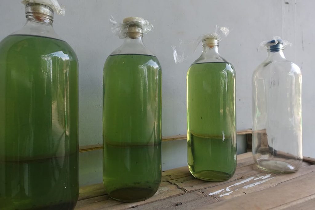 Styrofoam And Gasoline Mixture What Happens When Mixed? Upgraded