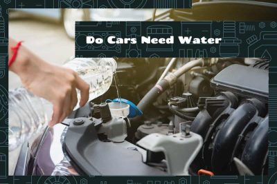 Do Cars Need Water